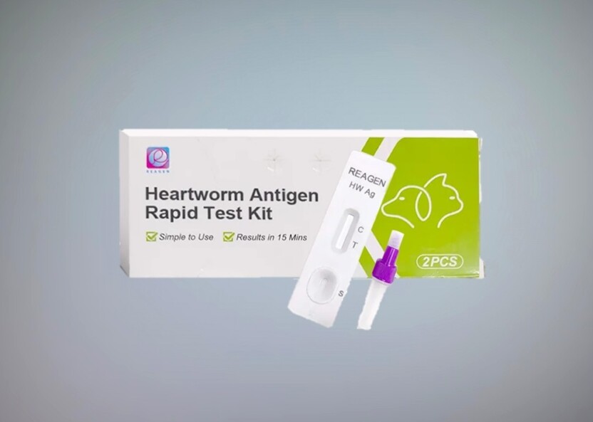 Vet028