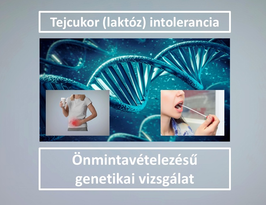 Zns010 Tejcukor Ff