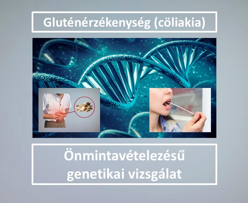 Zns012 Glutén F