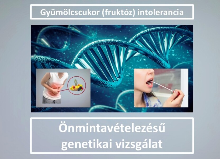 Zns013 Gyülömcscukor F