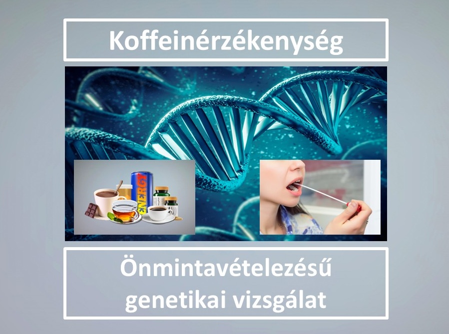 Zns015 Koffein Fff