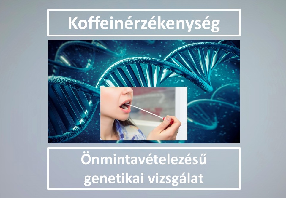 Zns015 Koffeinérzékenység Ff