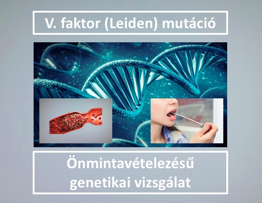Zns017 V Faktor 5f